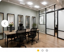 Commercial meeting room painting